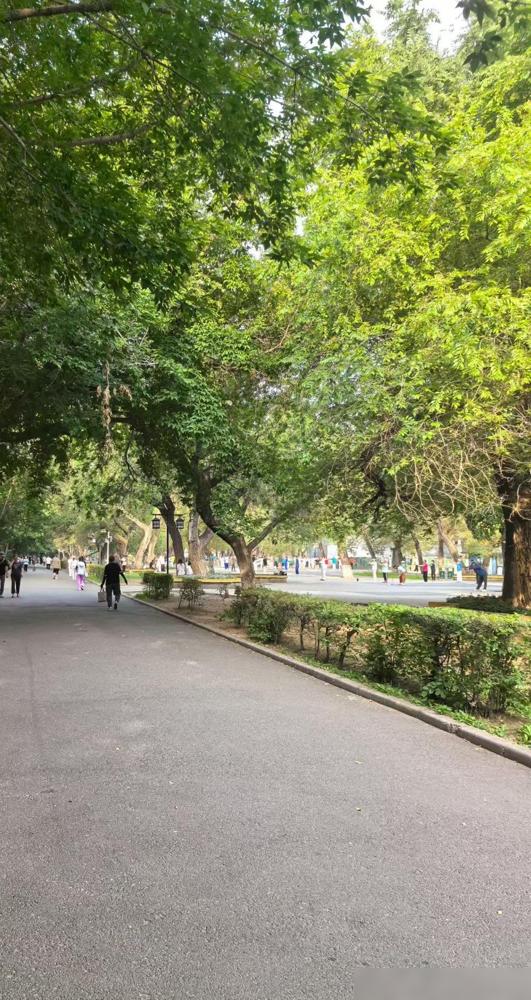 老公昨天跟我说：“七月份你们退休人员养老金又要上涨了”。说真的我身边好多退休