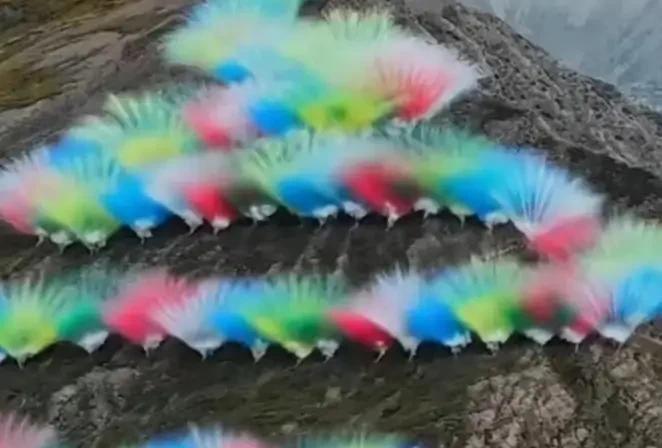 这该死的艺术一次史无前例的“烟花秀”，炸出了人间的善恶美丑。说是环保材料，老百
