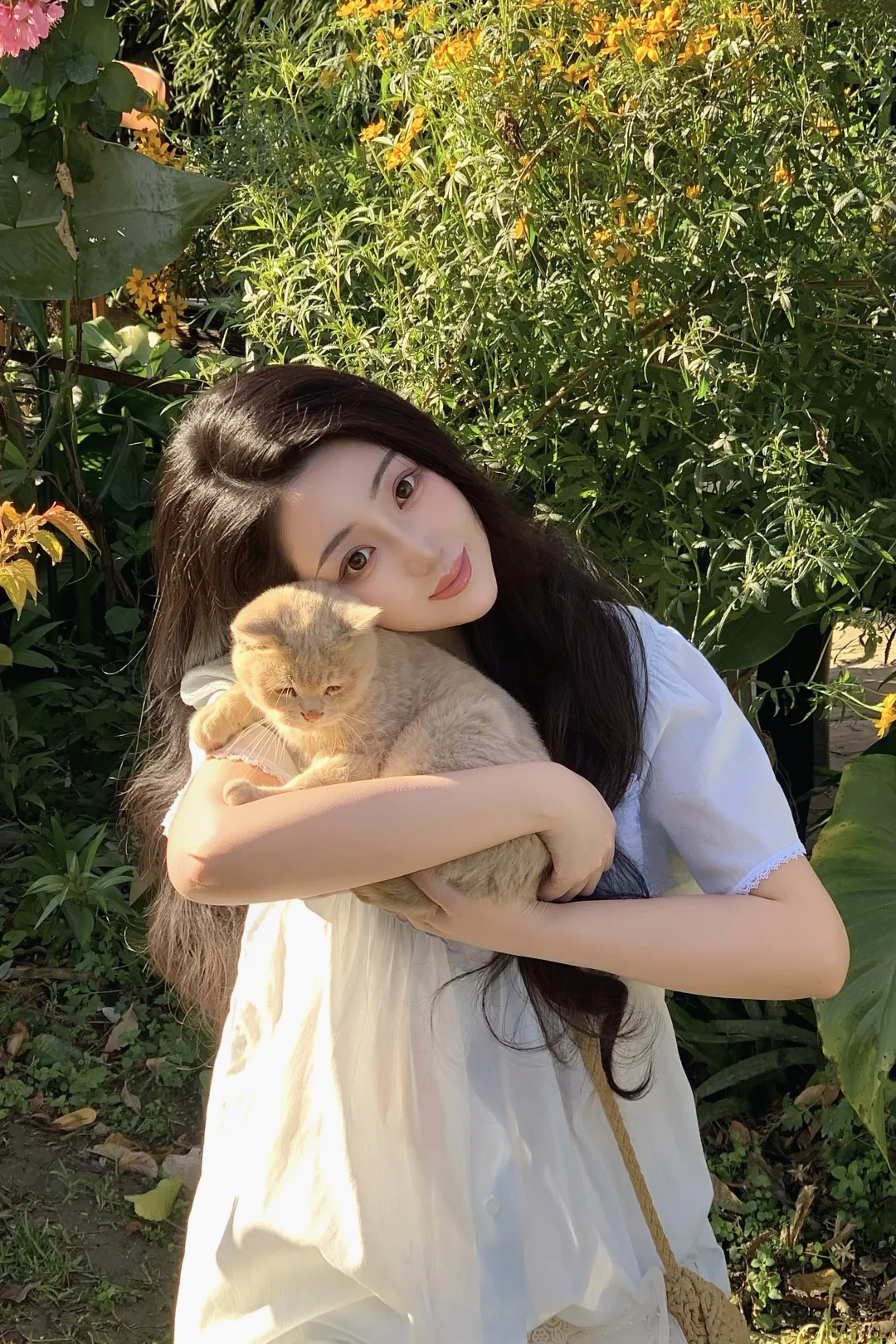 野百合植物挞染🌸🌷🌼🐈