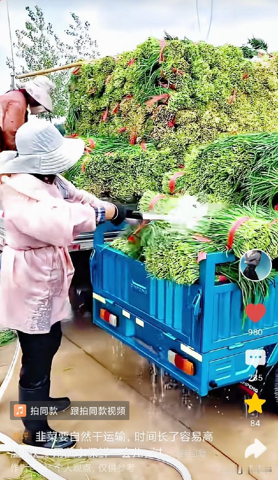 自从甲醛白菜相关舆情曝光之后，不少老百姓都成了惊弓之鸟。抖音刷到韭菜运输前用