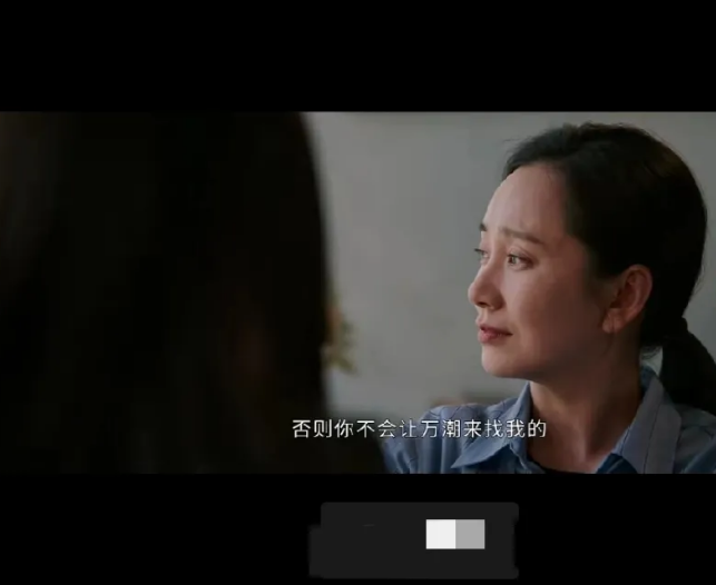 《以法之名》。观众梳理头绪，转头还是觉得张文菁太聪明了。这个故事正是因为张文菁，