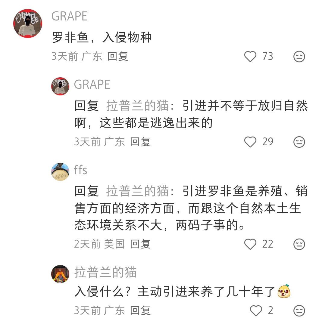 罗非鱼还挺守规矩啊，一个鱼一个坑，排列整齐，不占别鱼的坑