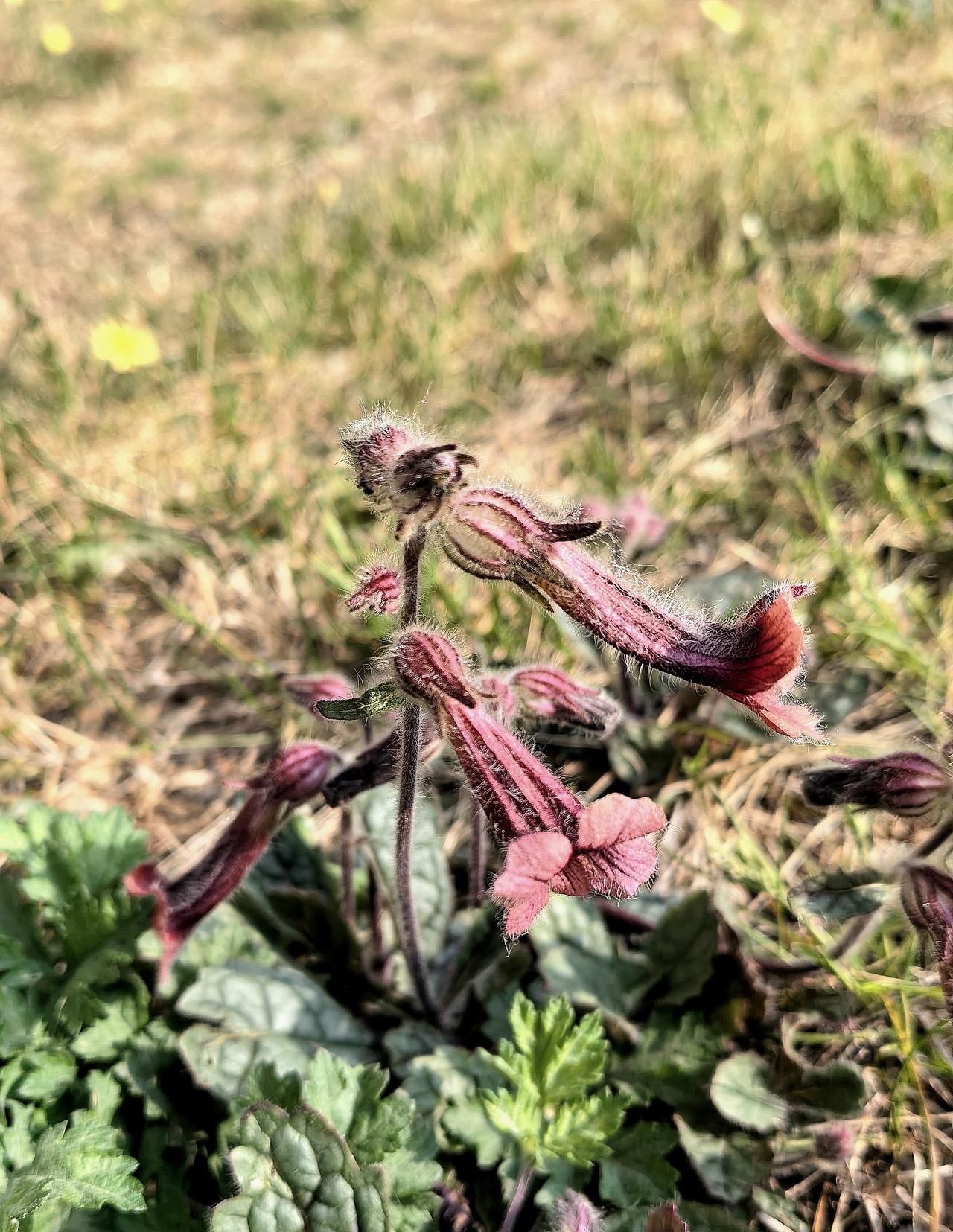 昨天上午，邻居家传出剧烈的争吵声。邻居李本军是县档案局长退休的干部，退休后回家