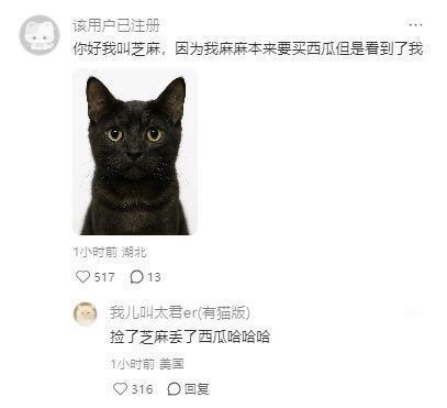 宠物的名字都是怎么来的​​​