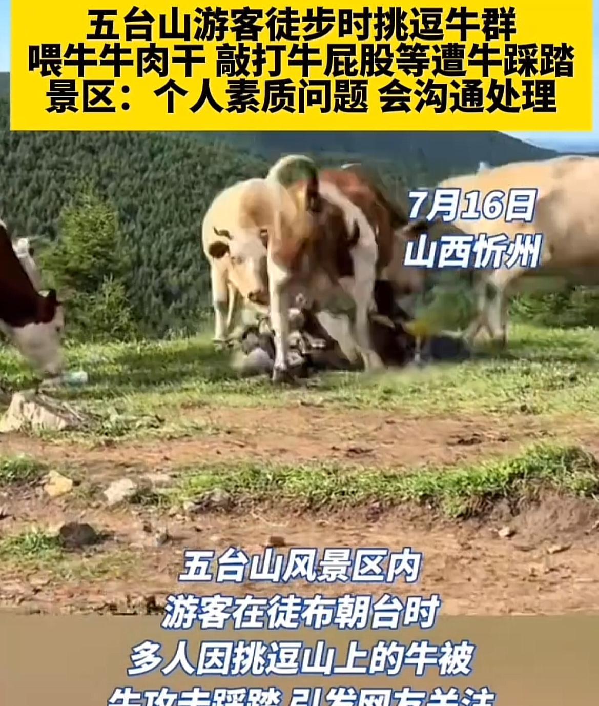 网友表示：牛：你们打我我忍了，骑我我也忍了，但是喂我牛肉干，我没法退让了