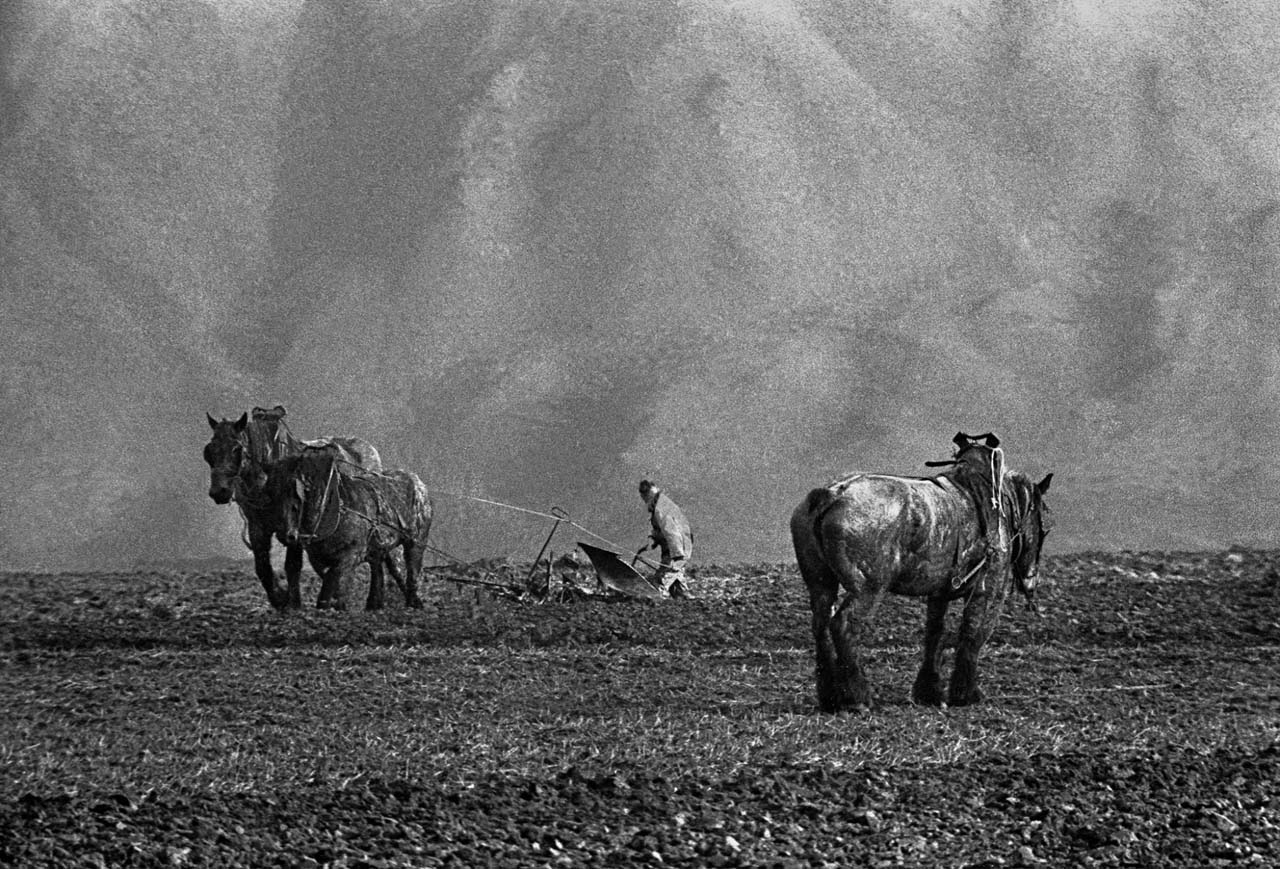  1959年，比利时博里纳日的田野。