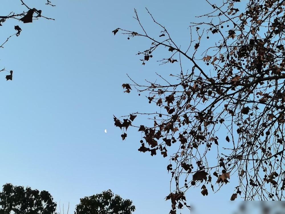 婚检真的太有必要了。同事结婚之前和未婚夫做了婚检，两个人第二天就直接退婚了，没有