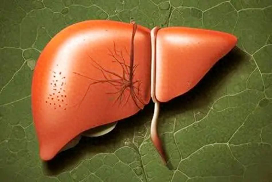 爱抽筋、常做梦、眼睛花，别瞎补！你是肝血不足，记住这一种地黄丸提示：本内容仅供