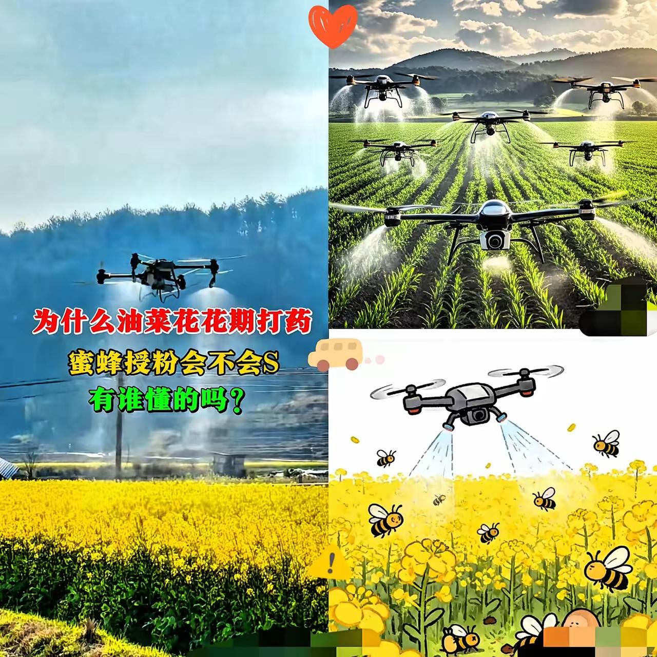 到底是哪个大聪明，晚上给油菜花打农药啊，我长这么大还是第一次听说油菜花需要打农药