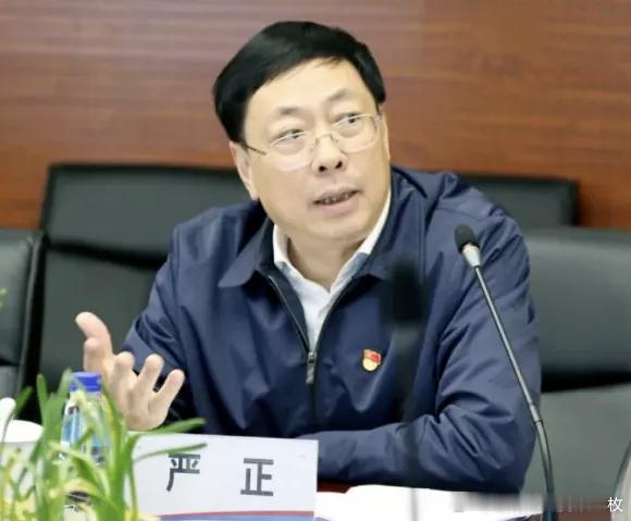 福建省政协经济委员会原副主任严正接受纪律审查和监察调查。严正，男，1961年11