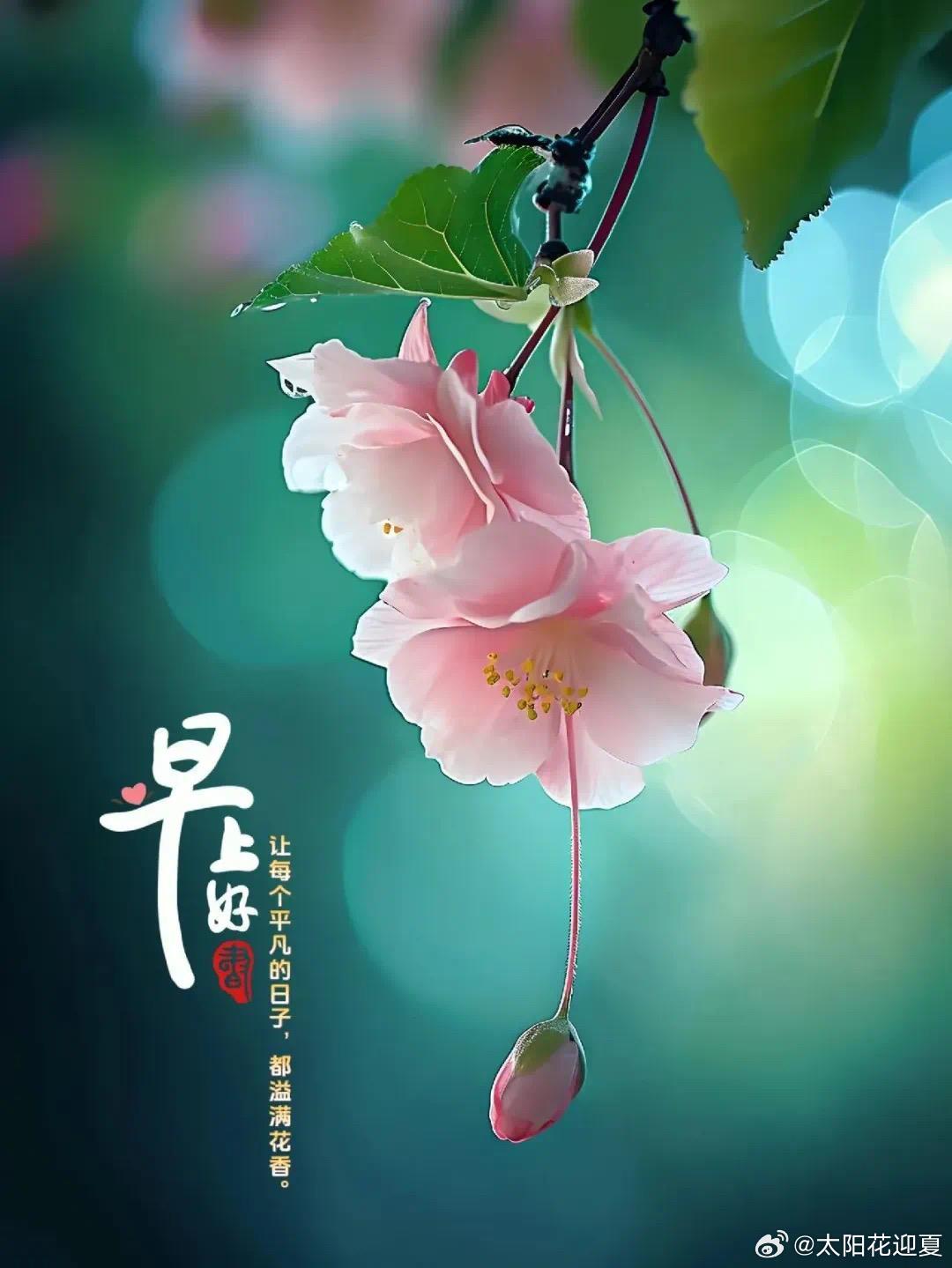 每日一善🌸阳光信用🌸每日一善与一个善良人相处，如沐春风心底舒服。