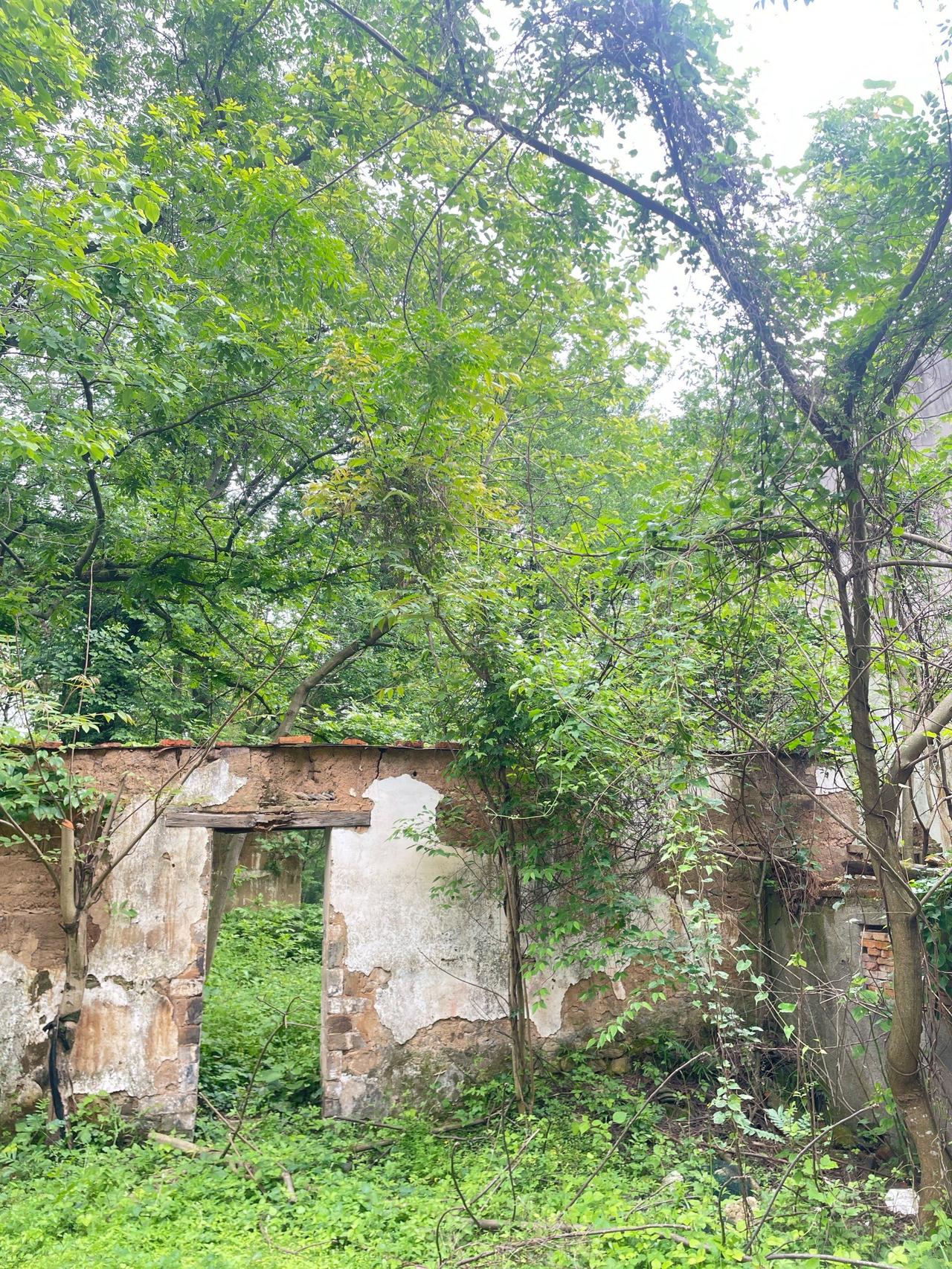 以前觉得毛主席的话是大道理，现在回老家一看，全明白了现在回趟老家，心里真不是