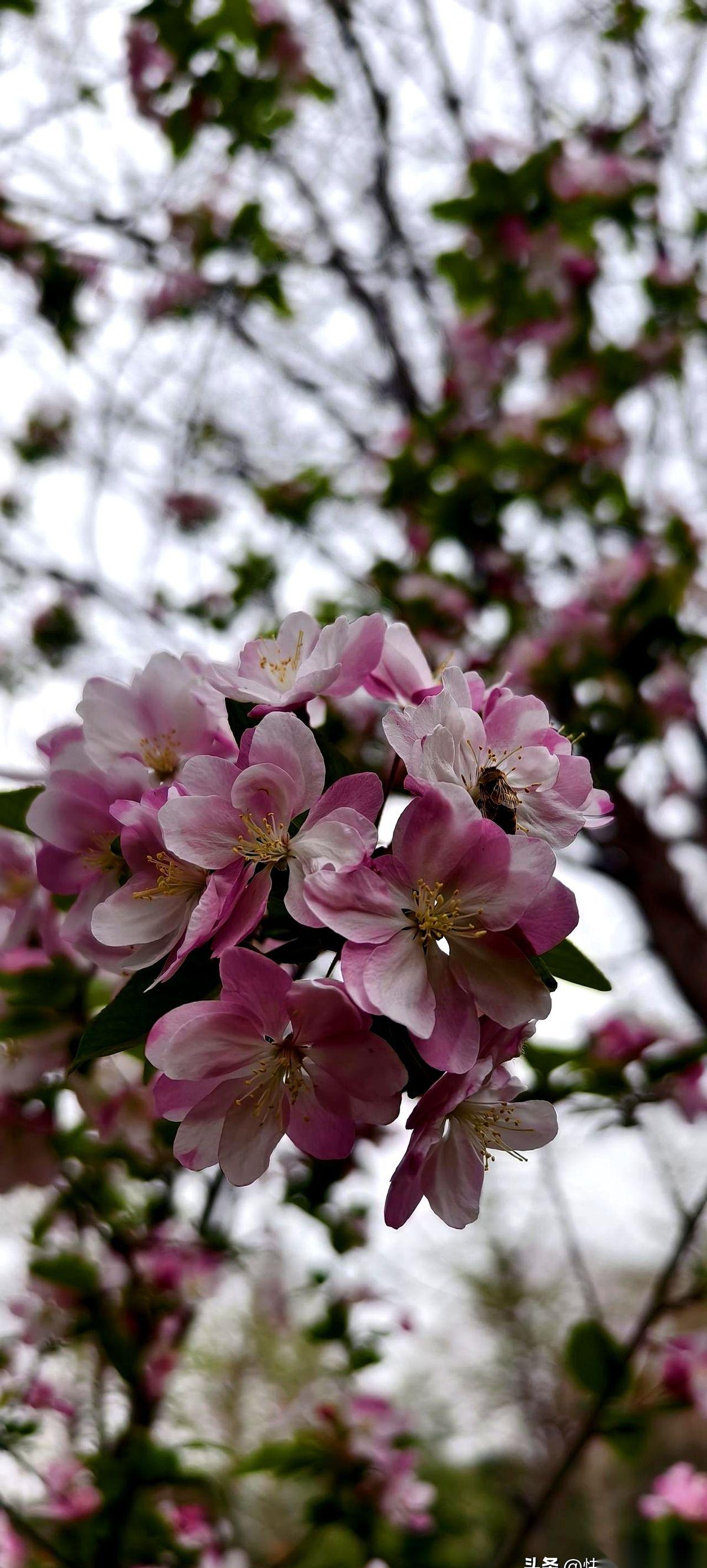 江苏那帮家长，突然干了件“大事”。前一秒还因为孩子少考两分，在家长群里半夜三点
