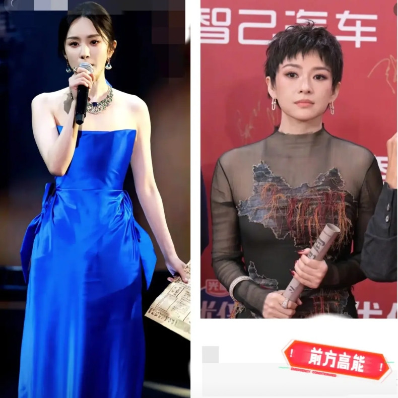 章子怡这次红毯后槽牙都要咬碎了很明显她输给了杨幂不是因为发型，也不是因为年龄
