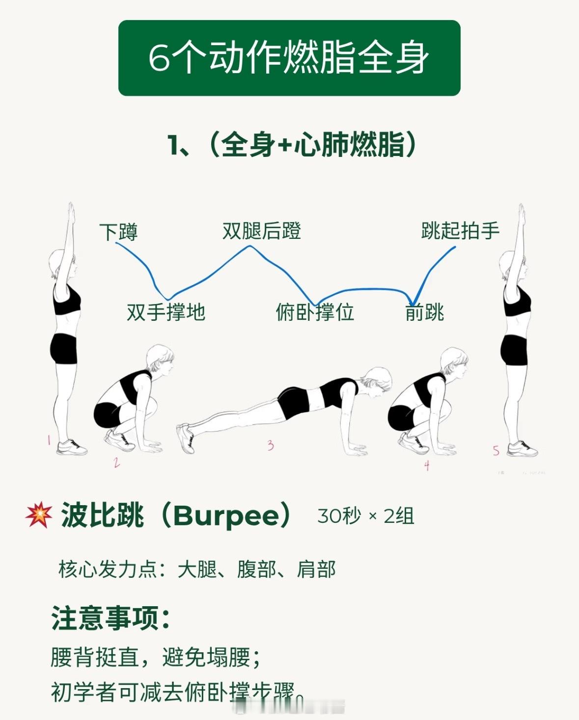 高效燃脂+塑形兼顾，初学者也能轻松完成6个动作，燃脂全身！一天只需15分钟！