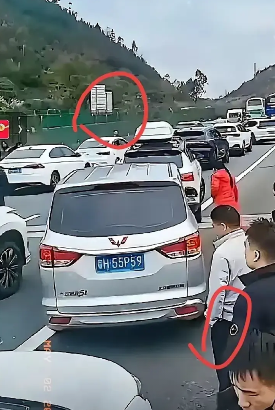 广西放大招了！全国首创周末高速免费——5月9日起，每周五到周日，非营运车进广西享