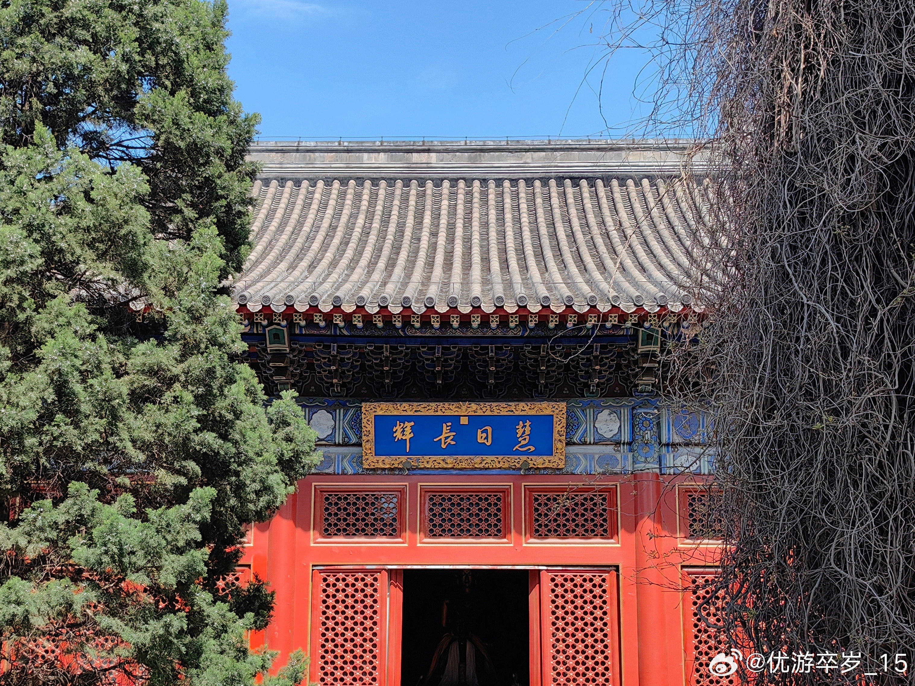 我的2026今天的天气是真好啊在这样的春光里迎接4月天约会博物馆文物生活记录