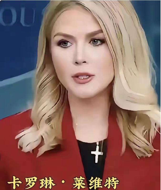 美智库放话：让日本做好“打响第一枪”的准备！与此同时，白宫发言人卡洛琳·莱维