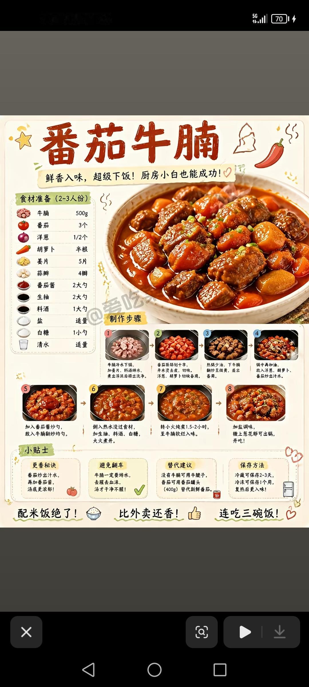 番茄牛腩，特鲜调味粉配方，杂粮煎饼万面糊配方