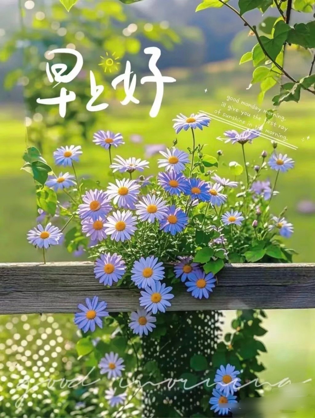 🛩🌌²º²⁶/₀₆.₂₅ღº✐🔆ᴹᴼᴿᴺᴵᴺᴳ🍀昨天的太阳晒不干