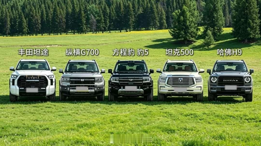 去新疆只有这五台车，你会优先选哪一台[思考]​​​