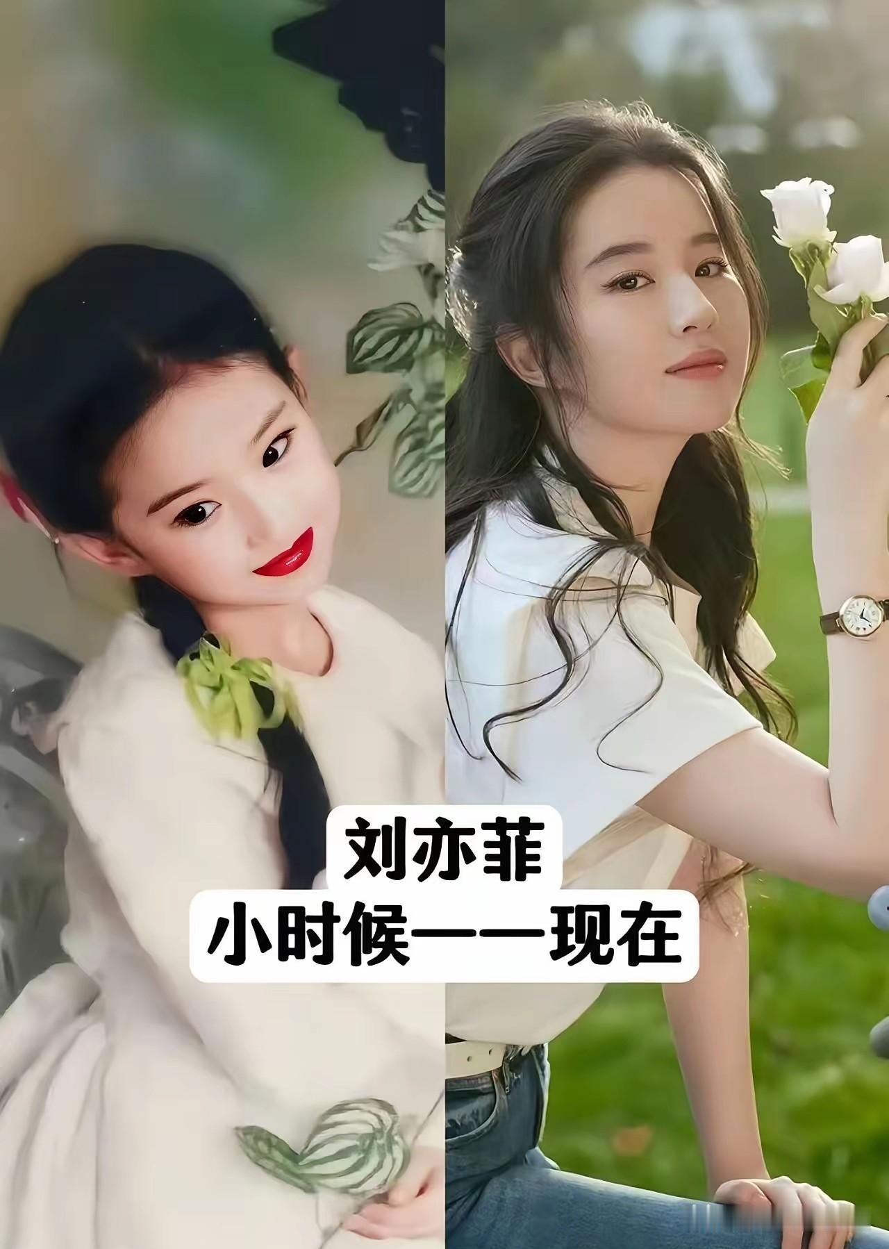 15位女星小时候和现在对比，刘亦菲从小美到大，白鹿小时候胖嘟嘟的很可爱