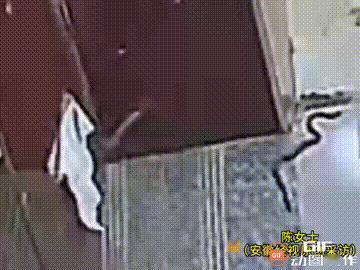 安徽宿州萧县一名女子无意间查看监控时，发现家里居然爬进了一条蛇，顿时吓得心里一惊
