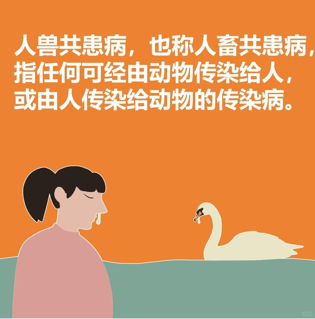 猛禽飞入女子怀里依偎猫咪震惊猛禽直接变萌宠，谁看了不想薅一下。不过像这种野生动物