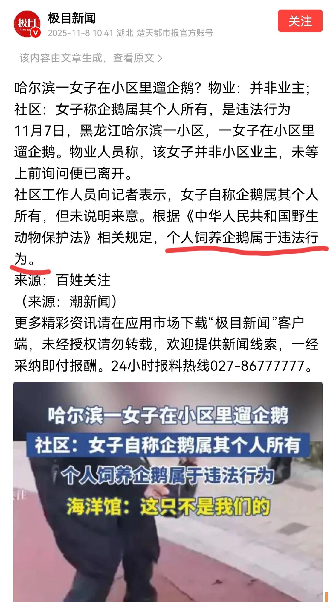 听说过遛狗，遛猫，遛鸟的，你听说过遛企鹅的吗？日前哈尔滨一小区内有一名女子在