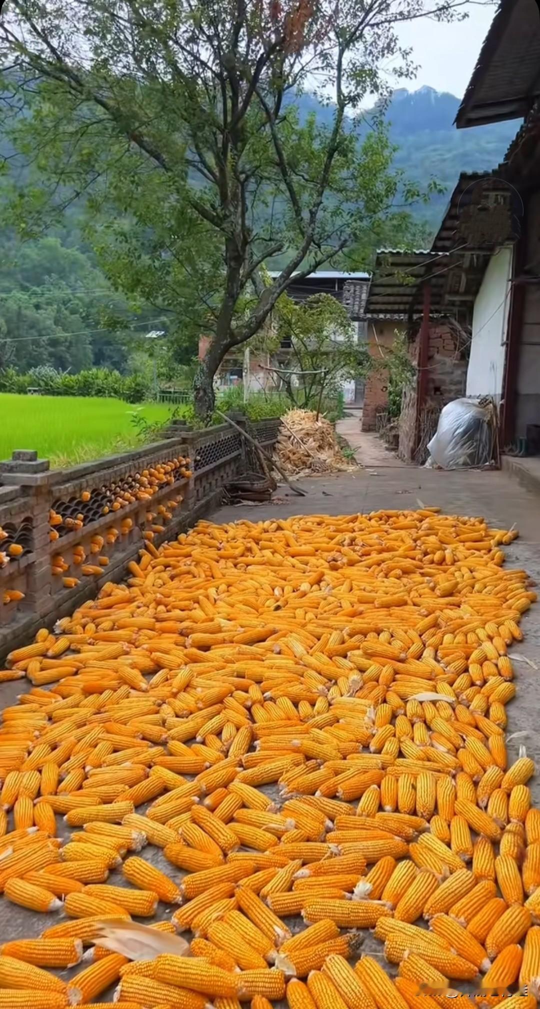 现在网上特别流行用A8、A9来形容家庭财富。家里有上千万的叫A8，有上亿的叫A9