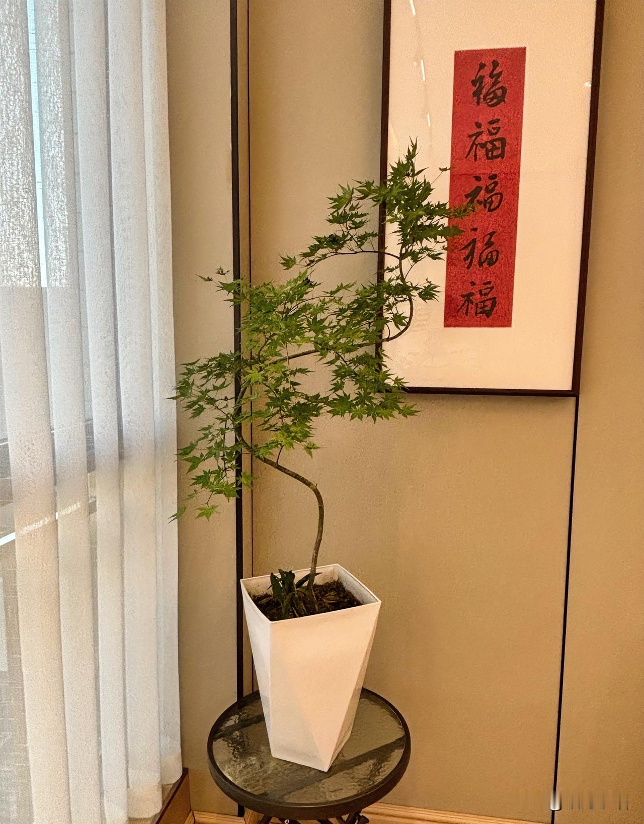 昨天去取快递，排队的空档跟驿站的老板娘聊了几句她说，最近发现一件怪事好多