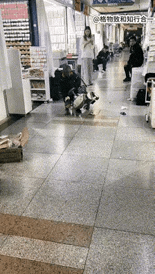 看到这张图，让我不再质疑美国基因学家的论断。老祖宗早说过，有的人空有人的皮囊，却