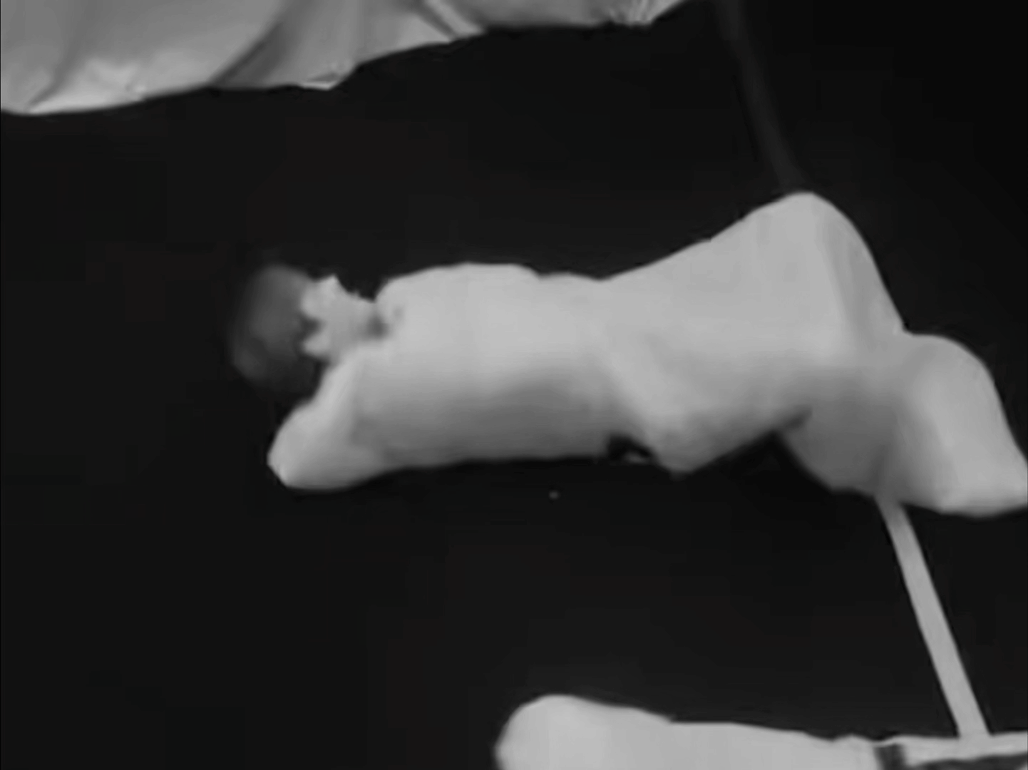 姐妹！真的可以用麻袋把刘宇宁打包扛走了刘宇宁开始推理吧刘宇宁摩登兄弟