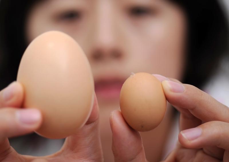 补气血选乌鸡还是母鸡，这得说道说道。乌鸡可是补气血的明星选手，它的营养价值超高，