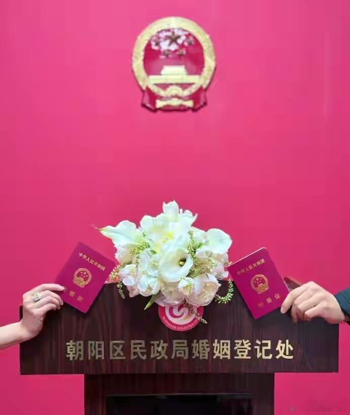 王菊晒和李纯在婚姻登记处合照2025年10月2日，李纯和马頔官宣结婚后，王菊在评
