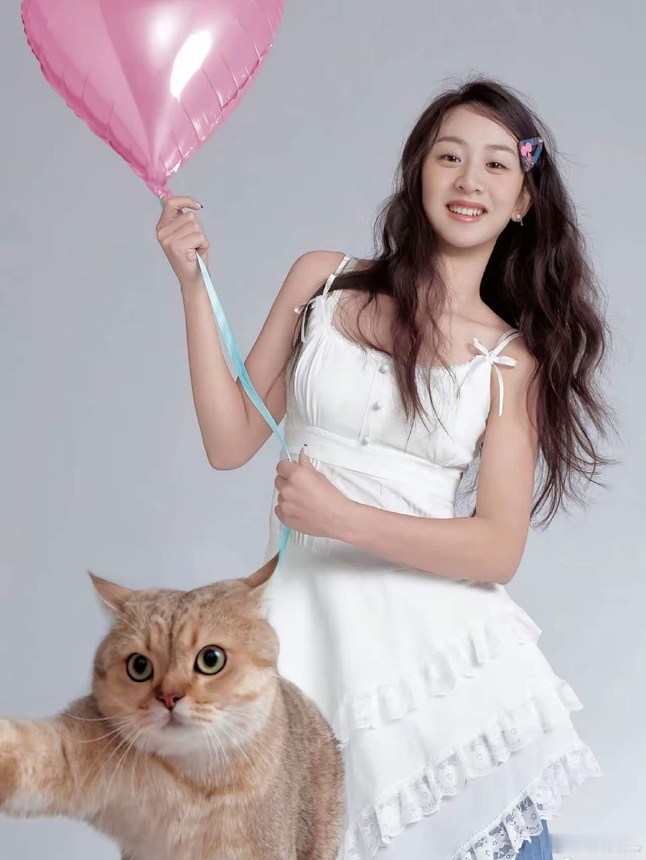 1.田亮夫妇对女儿已经没抱有多大期望了，各项运动都尝试了，均没办法做到拔尖的水平