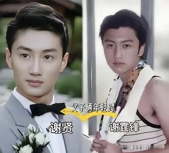 感觉他们的颜值是一代不如一代，谢贤长得好看，带着一股灵气，是儒雅的帅，帅气了一辈