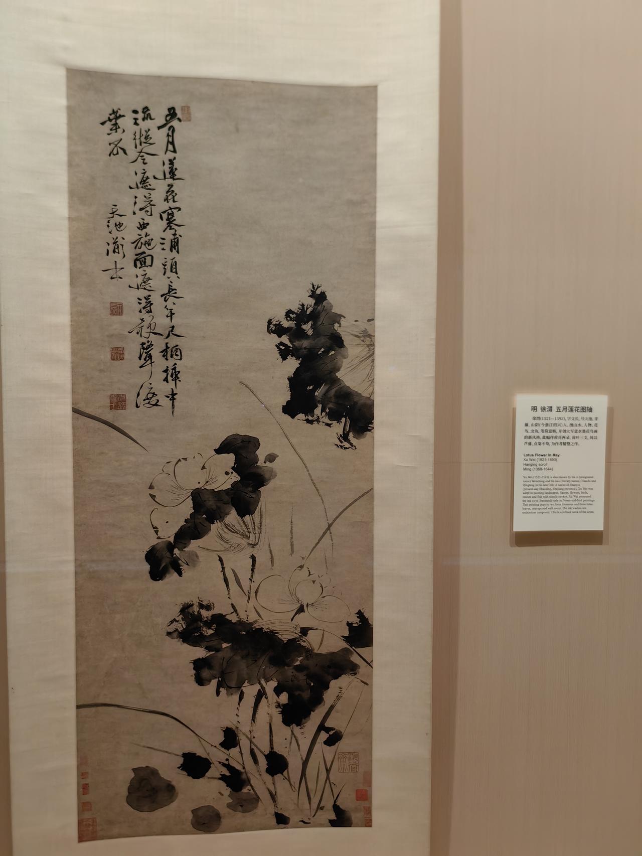 在上博的书画特展上蹲到了徐渭的《五月莲花图》真迹，站在展柜前挪不开脚。整幅画没