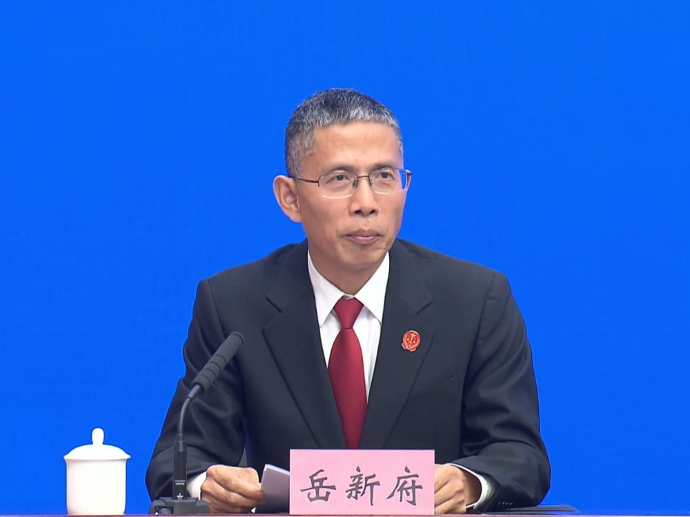 不用打官司也能定分止争! 重庆构建知识产权大保护格局