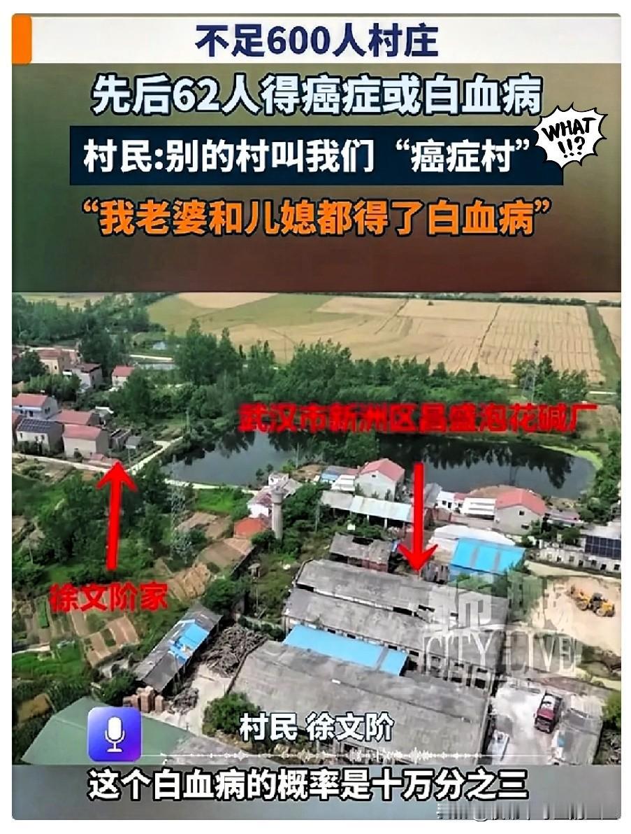 湖北那个癌症村，我发现一个最扎心的事。不是62人得了癌，是活着不敢认、死了