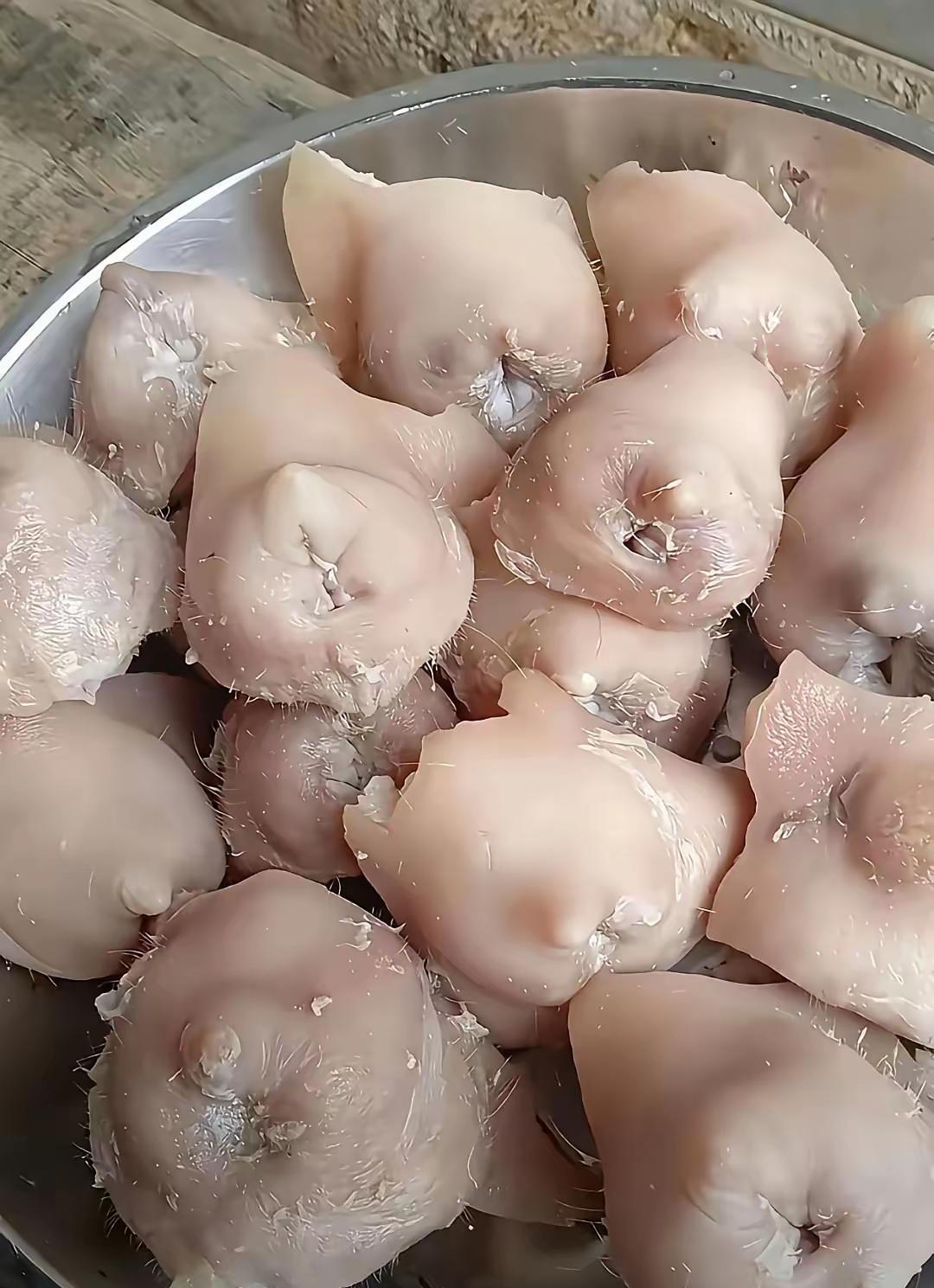 这是公牛插座么？