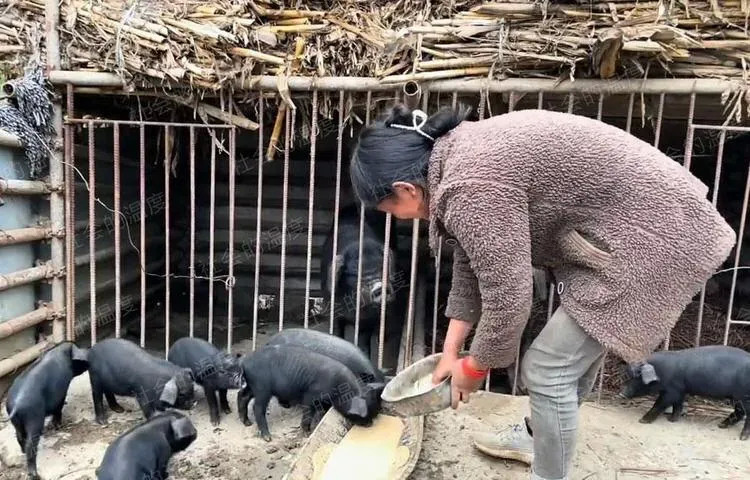 悲凉！大凉山一名女子独自带着两个孩子在家生活，丈夫在外打工不闻不问，从未给过一分