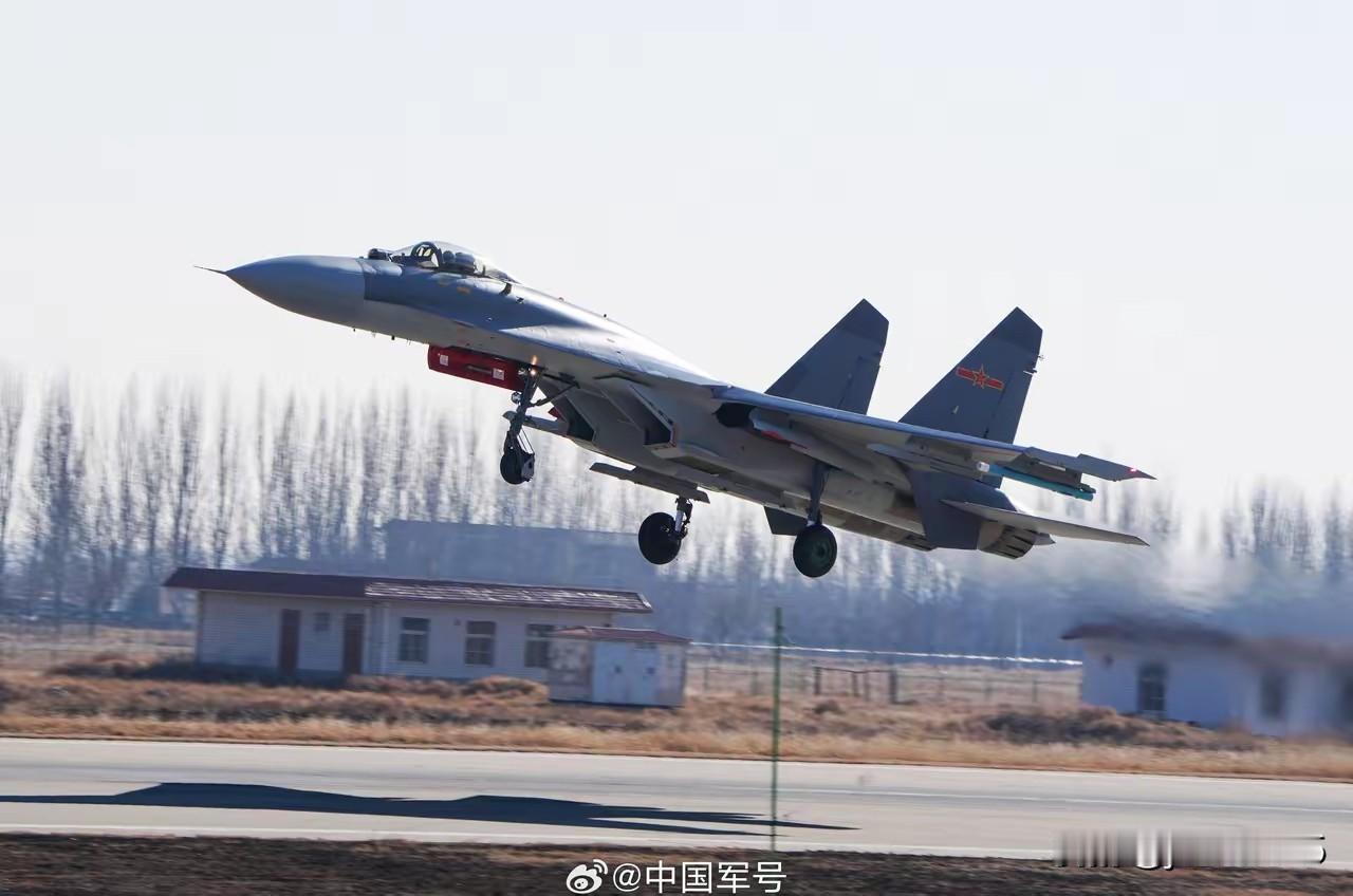 这是西部战区空军某航空旅装备的重型战斗机，据说是贺兰雄狮旅，算是一支空中劲旅。图