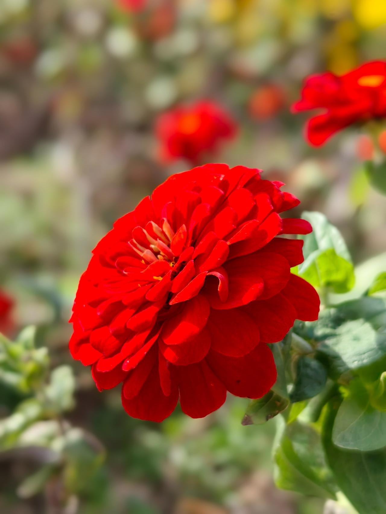 50岁的中年妇女，最高级的炫耀是以下几件事：1、可以自由自在的咳嗽、打喷嚏、