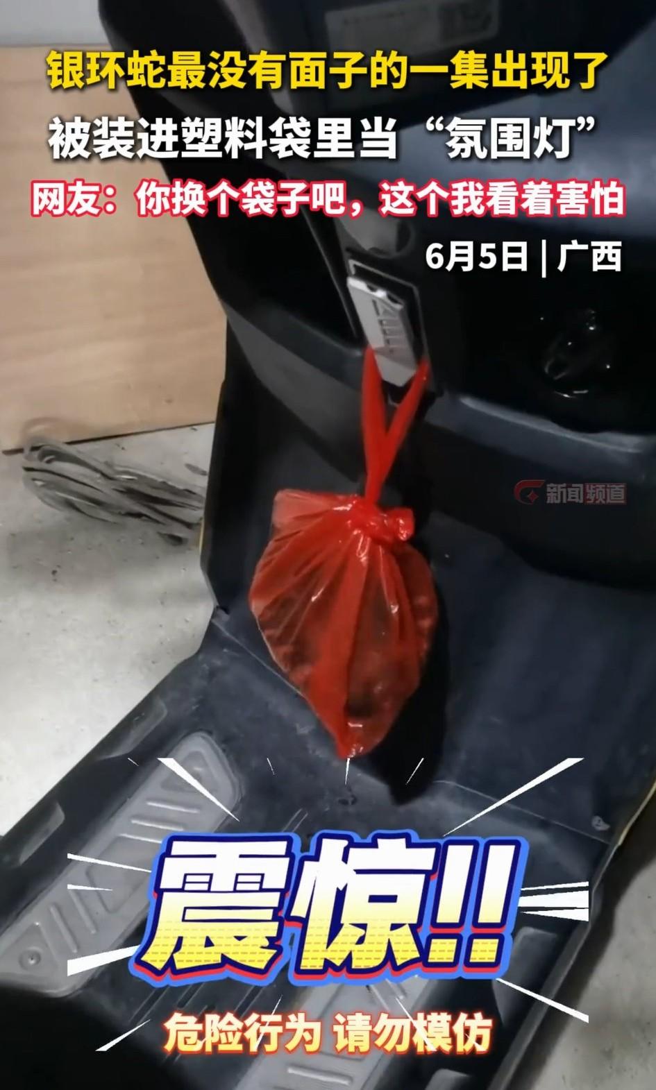 胆也太大了吧，广西，一男子喝酒后遇到一条银环蛇，可能是酒精壮胆，男子不但不怕，甚