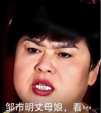 面相真的很绝我就是不和你说任何的事，光是第一眼看到，就知道她不好惹。邹市明不知