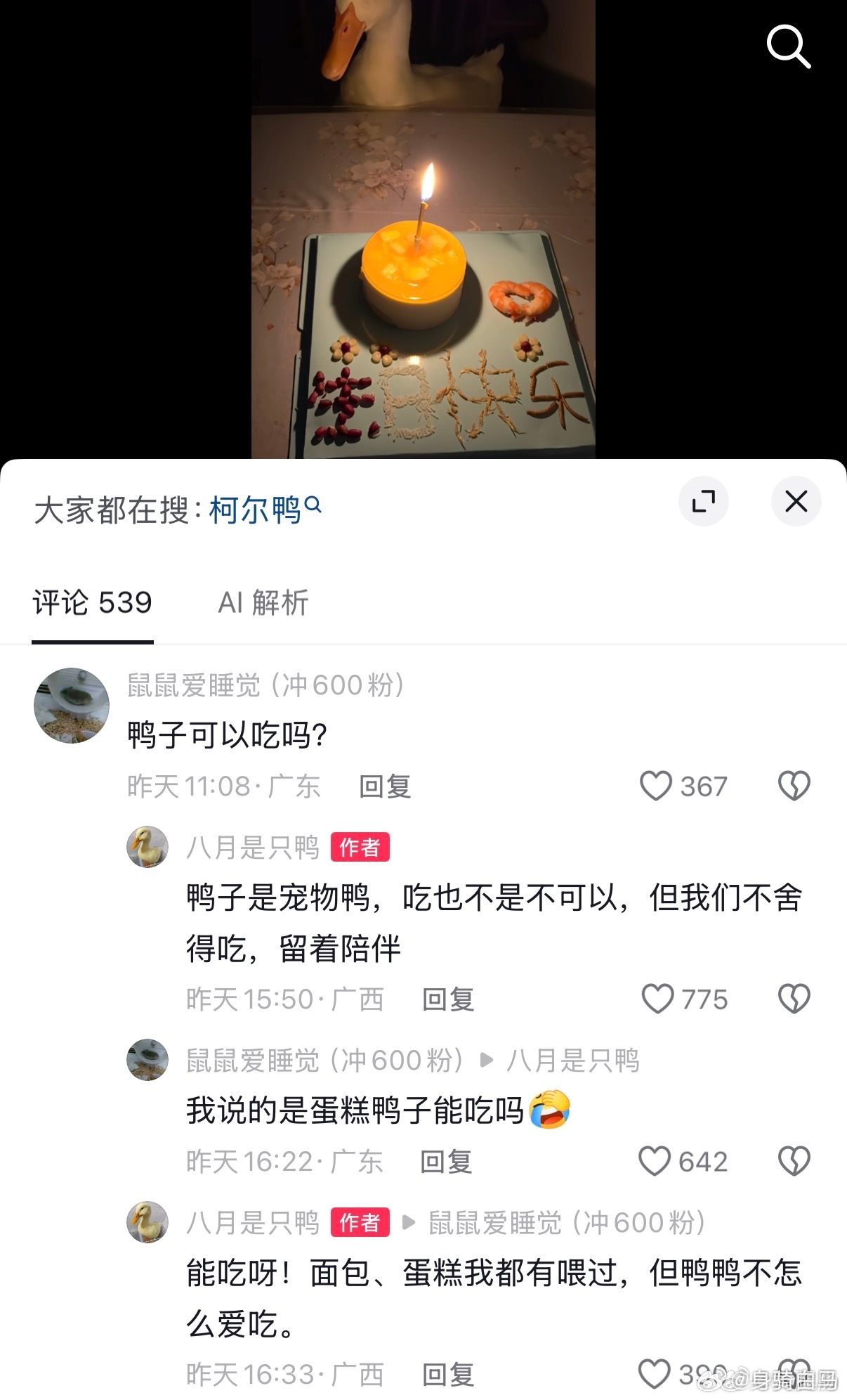 鸭子可以吃吗？