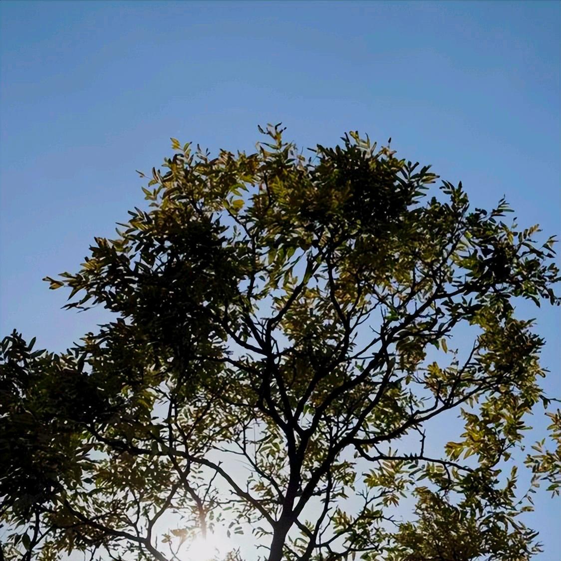 今天  内蒙古：党纪政务处分3人 12月11日晚上7:40，内蒙古：党纪政