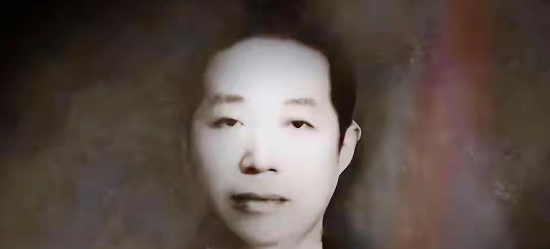 1937年，一个年轻人刺杀蒋介石失败后，穿越九死一生的封锁线来到延安。他叫华克之