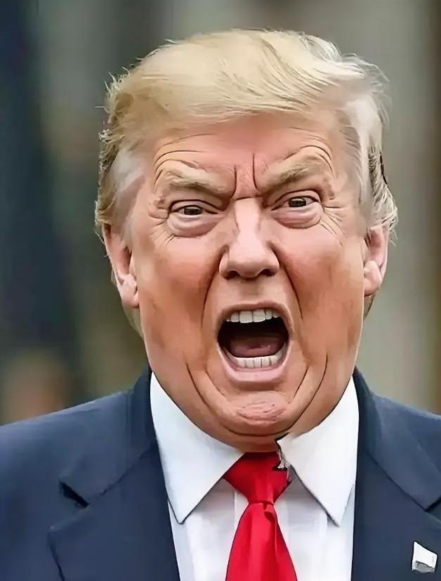 果然被我猜中了！美国总统宣布：1月25日，美国特朗普政府宣布将向美国稀土公